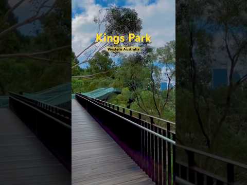 Kings Park Western Australia #perth #australia #travel #westernaustralia #park #garden #kingspark