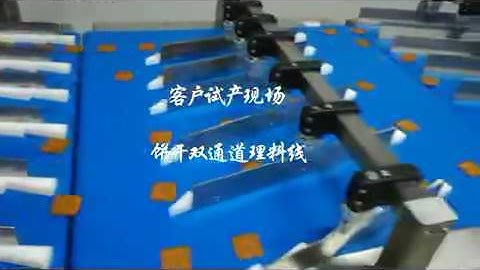 Two lanes feeding system for high speed 2/4layers biscuits auto-packaging machine flow pack machine