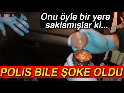 Video: Köpeğinizin Denizanası Tarafından Döndürülmesi Sırasında Bir Bacak Kaldırıyor musunuz?