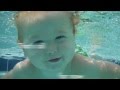 Baby Shepherd learns to swim