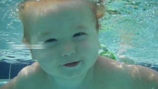 Baby Shepherd learns to swim