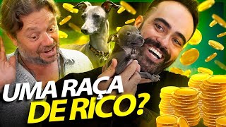 PEQUENO LEBREL, O NOVO CACHORRO DOS RICOS!! | RICHARD RASMUSSEN