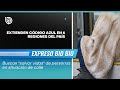 Para &quot;salvar vidas&quot; de personas en situación de calle: extienden Código Azul en 6 regiones del país