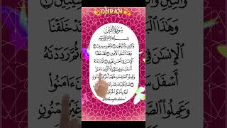 Soothing Quran Recitation Surah At-Teen