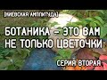 Ботаника - это вам не только цветочки, серия 2 [Киевская амплитуда]