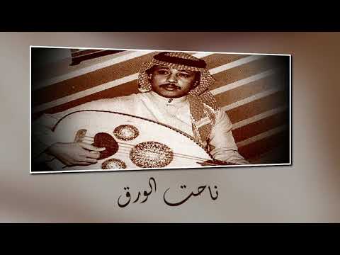 ناحت الورق عود محمد عمر