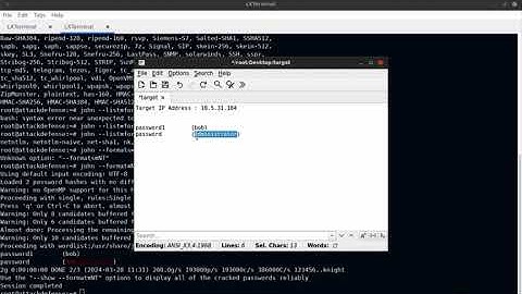 Extracting NTLM Hashes with Hashump and Cracking Them with John the Ripper