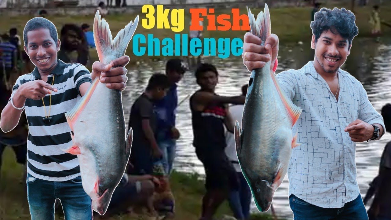 2 full fish fry eating challenge | Indian fish fry eating competition | Eating challenge