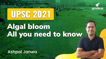UPSC 2021: Algal bloom- All you need to know || @GradeUp