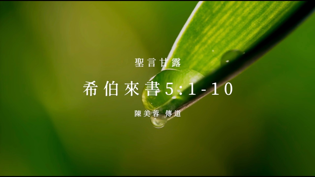 信友堂聖言甘露，2026年02月28日 希伯來書5:1-10 陳美蓉傳道