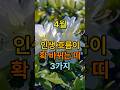 2026년 4월 인생 흐름 확 바뀌는 띠 3가지 
