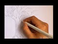 رسم شجرة بلا أوراق شجرة خريف