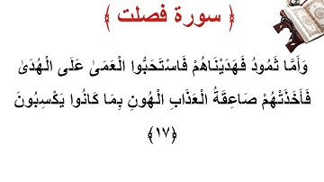 سورة فصلت الأية 17