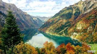 TMC - 5 Dried grams