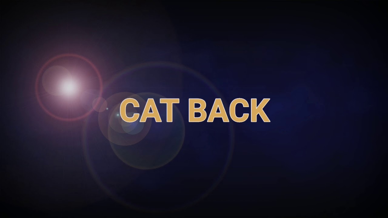 Cat back YouTube
