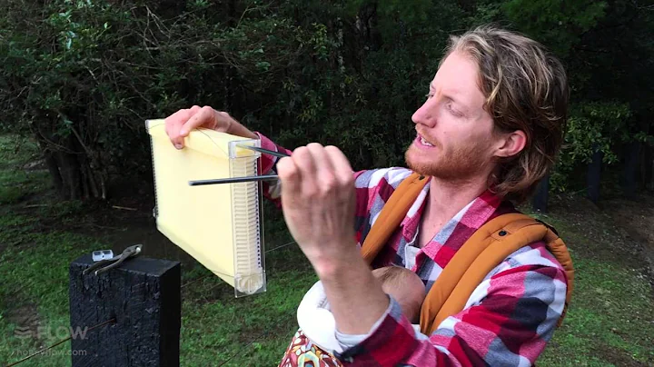 How to make sure your Flow™ Frames are ready for your bees