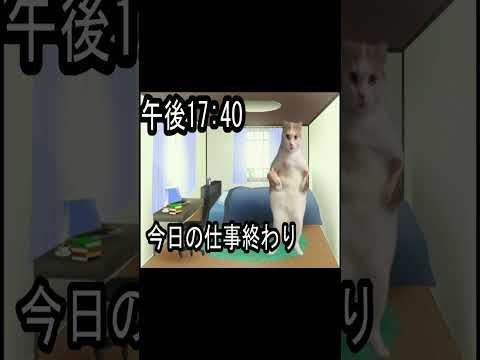 #shorts​ 【会社員】カスタマーサクセスの日常ルーティン（フルリモート）  猫meme