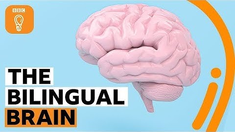The Benefits of a Bilingual Brain | How Knowing Two Languages Boosts Your Mind