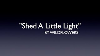 SHED A LITTLE LIGHT/LYRICS BY WILDFLOWERS/GENRE CONTEMPORARY COUNTRY