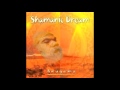 Shamanic Dream by Anugama