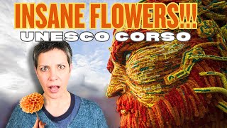 🌸 INSANE Flower Parade! Corso Zundert 2024–2025 | World’s Largest UNESCO Dahlia Festival