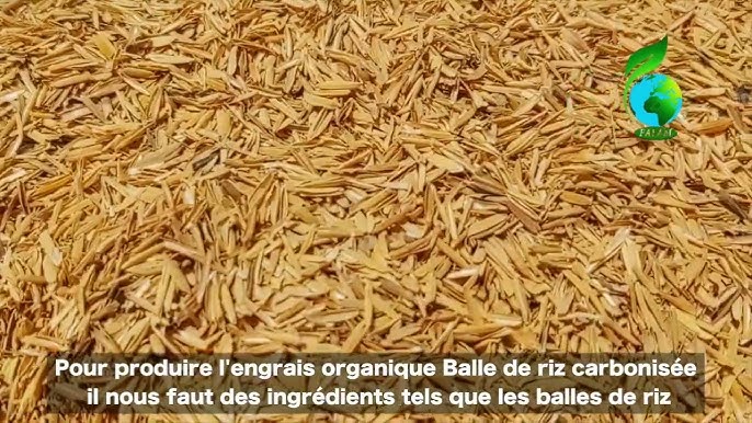 La balle de riz, une bonne alternative à la paille de blé en