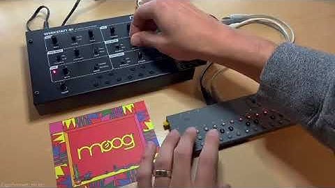 synth exploration ft oz and moog werkstatt 01