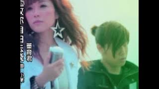 2013 董育君《放你自由去飛》