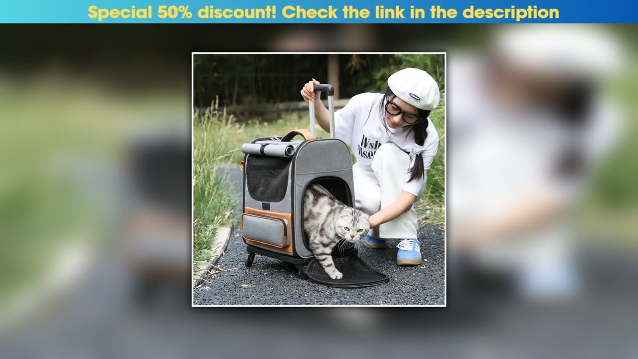 Review Pet Trolley Box Breathable Foldable Cat Bag Large Capacity Travel Portable Wheel Trolley Bag