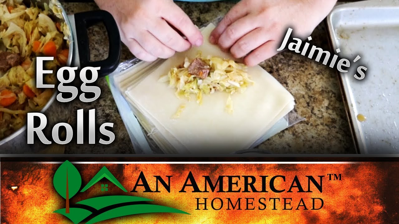 Homemade Egg Rolls - I Am Homesteader