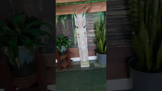 Join Ceo Michael Bailey As He Takes Us Through Unique Black Owned Dispensary In Somerset