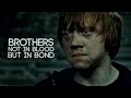 Brother | Ron & Harry