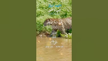 تلاوة خاشعة عطرة مباركة جميلة عذبة للشيخ علي جابر رحمه الله ماتيسر من سورة القصص