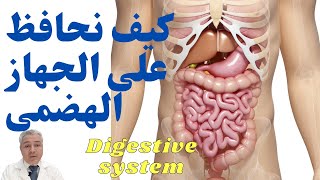 كيف نحافظ على الجهاز الهضمى digestive system