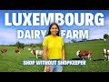 How I Got Fresh Milk in Luxembourg 🇱🇺 |  Price, Payment &amp; Honest Local Experience | Luxembourg Vlog