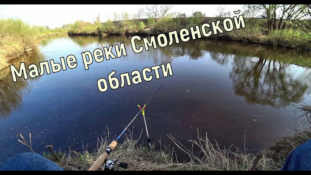 Малая река, красивое место, ищу где клюёт рыба