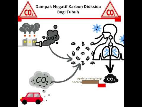 Apa Yang Terjadi Bila Tubuh Mengalami Kelebihan CO2