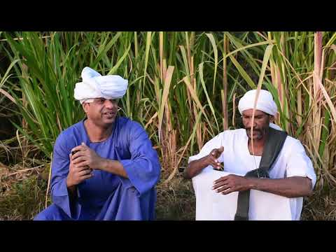 الحاج الضوى مهرجان سيدى الملوطى