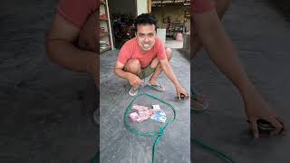 Make a trap for my wild gecko thief #thief #comedy #gecko #animal #dailyvlog #funny #viral #laugh