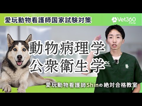 ペット看護士。 愛玩動物看護師Shinの絶対合格教室 - YouTube