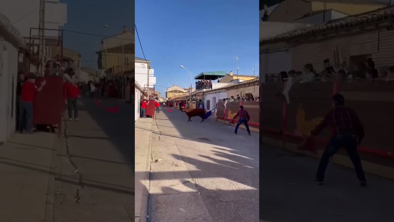 💥 Suelta de reses en Castejón (Navarra) 📹 @goorkaafernandezzz