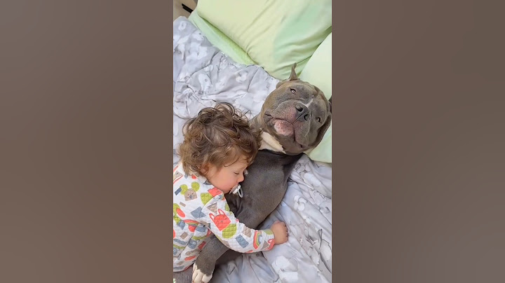 Cutest Baby + Dog Hug Ever Caught on Camera