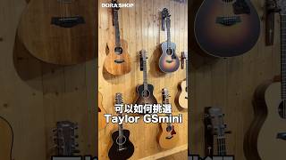 Taylor Guitar Gsmini 種類介紹