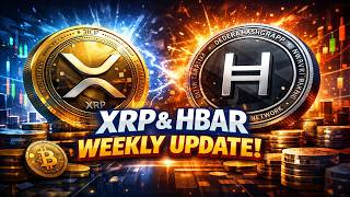 XRP & HBAR Weekly Update!