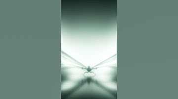 OnePlus 12 | Smooth Beyond Belief