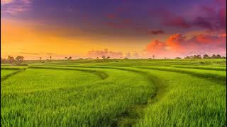 Nhạc nền làm vlog nhẹ nhàng, Không Bản Quyền!