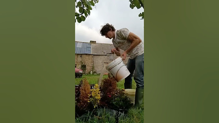 Oui je récupère les plantes dans les cimetières et alors ? #astuce #upcycle #recycle #jardin #fleurs