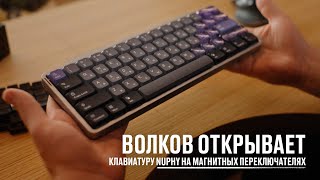 видео: Волков открывает клавиатуру NuPhy на магнитных переключателях картинка: Волков открывает клавиатуру NuPhy на магнитных переключателях