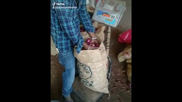 BALAJI OVERSEAS RAJKOT🇮🇳