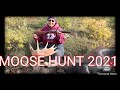 moose hunt 2021